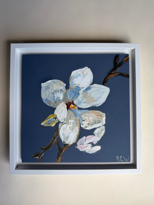 Magnolia White Bloom 8x8”