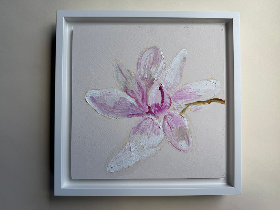 Single Blush Magnolia 8x8”